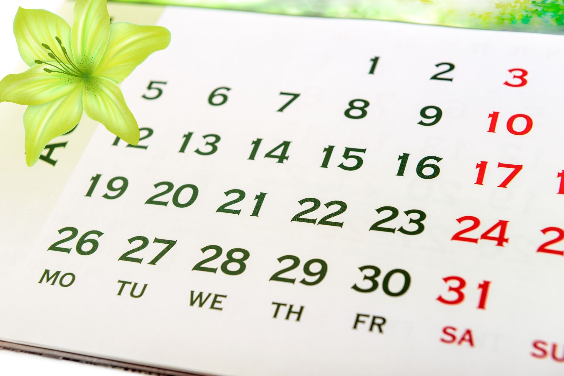 Calendario 2024